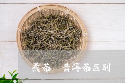 藏茶 普洱茶区别/2023031727050